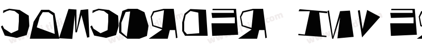 camcorder inverse字体转换